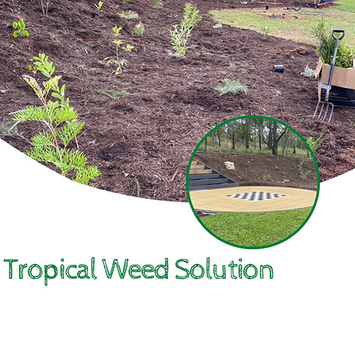 Tropical Weed Solution & Builds